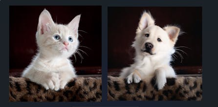 EditorAI gallery image