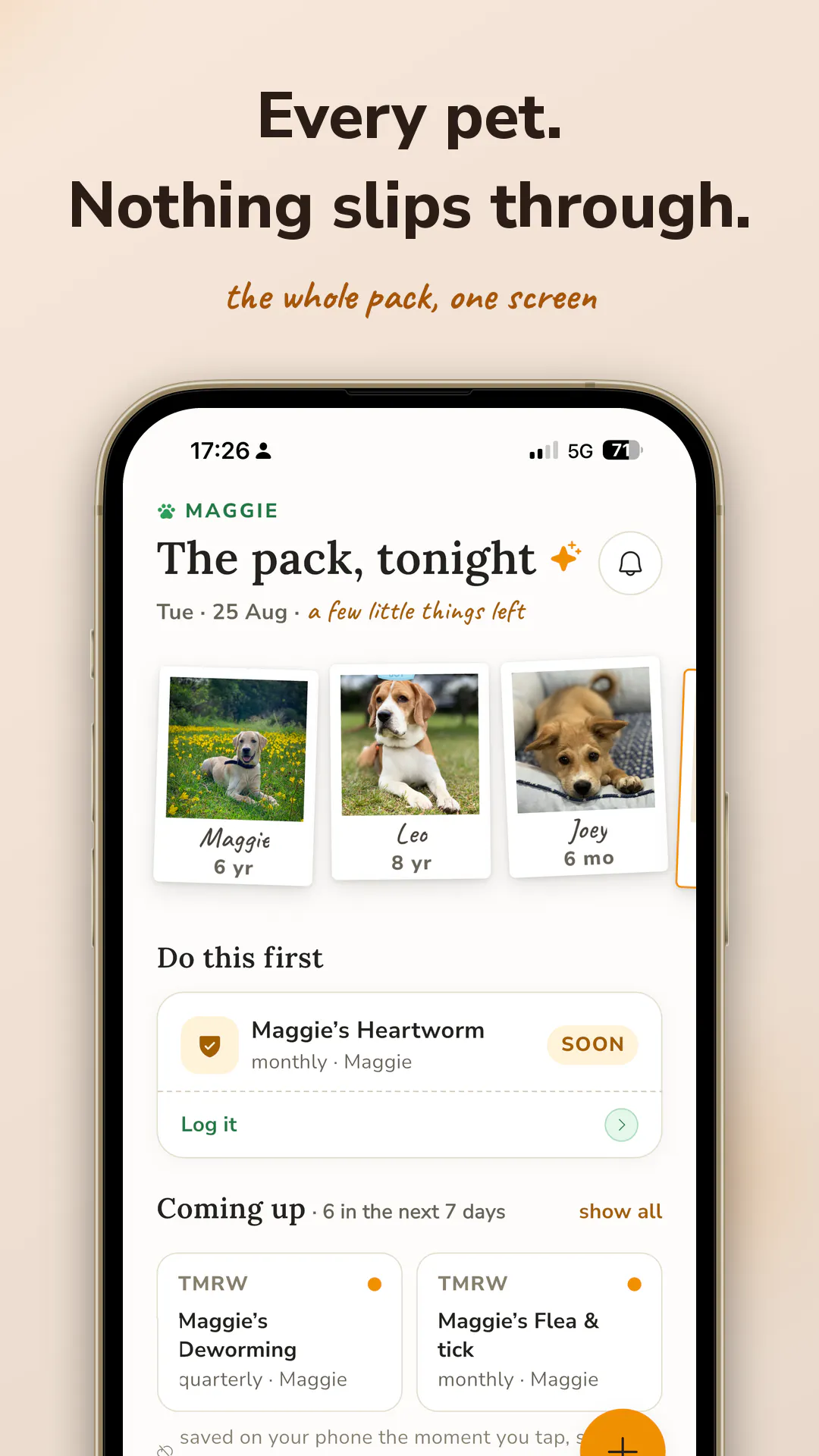 Maggie Dog Care & Health gallery image
