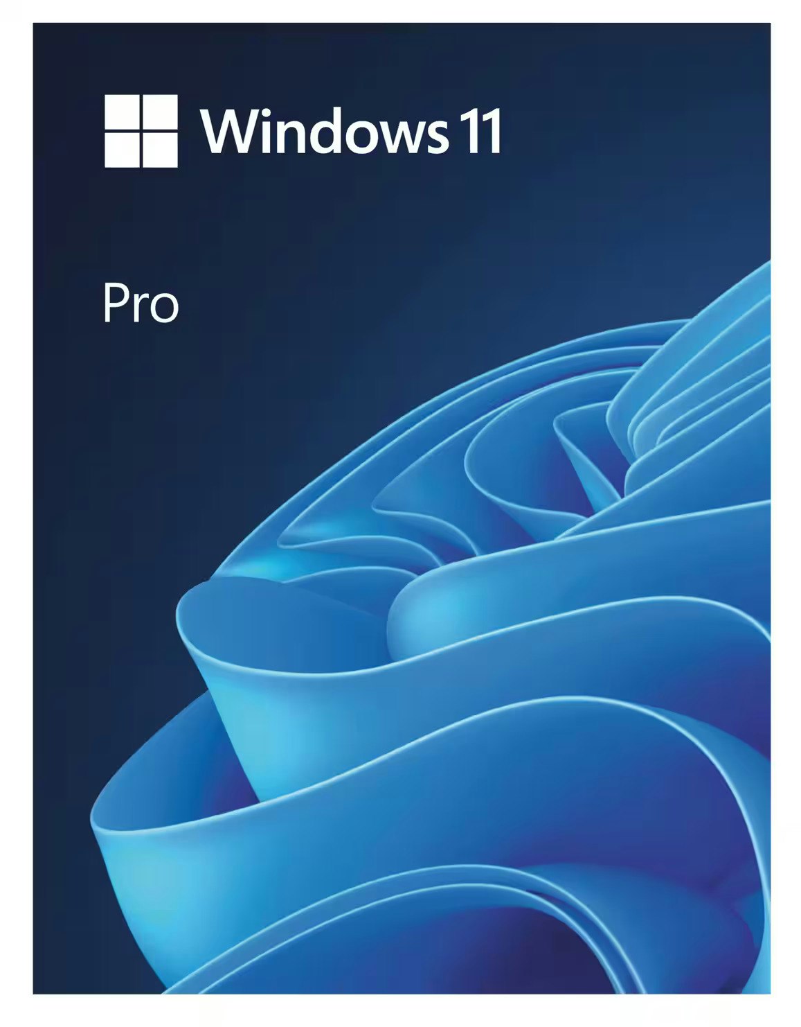 Windows 11 Pro CD Anahtarı