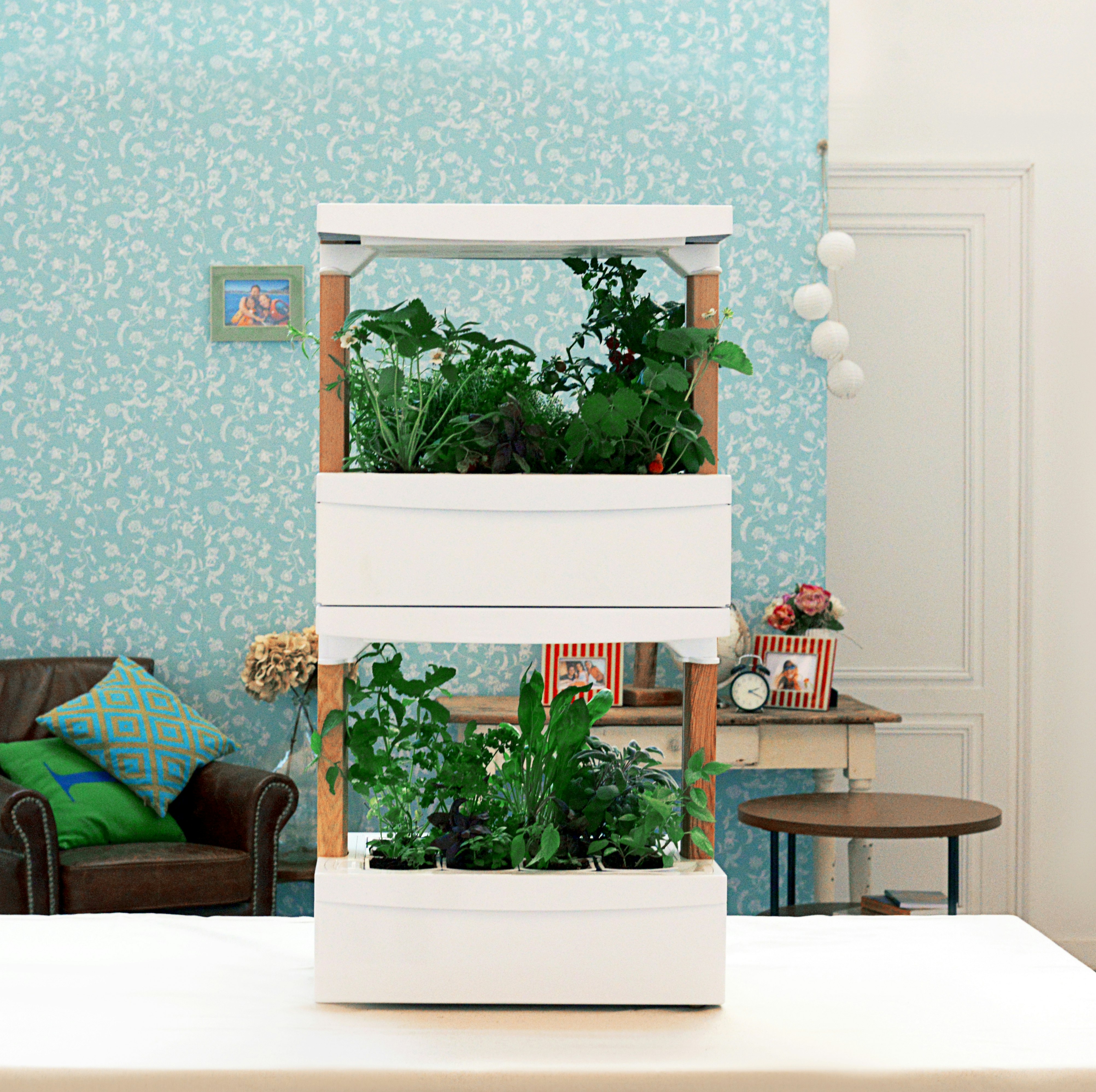 Fresh Square gallery image