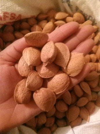 Buy Almond Nuts online
