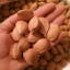 Buy Almond Nuts online