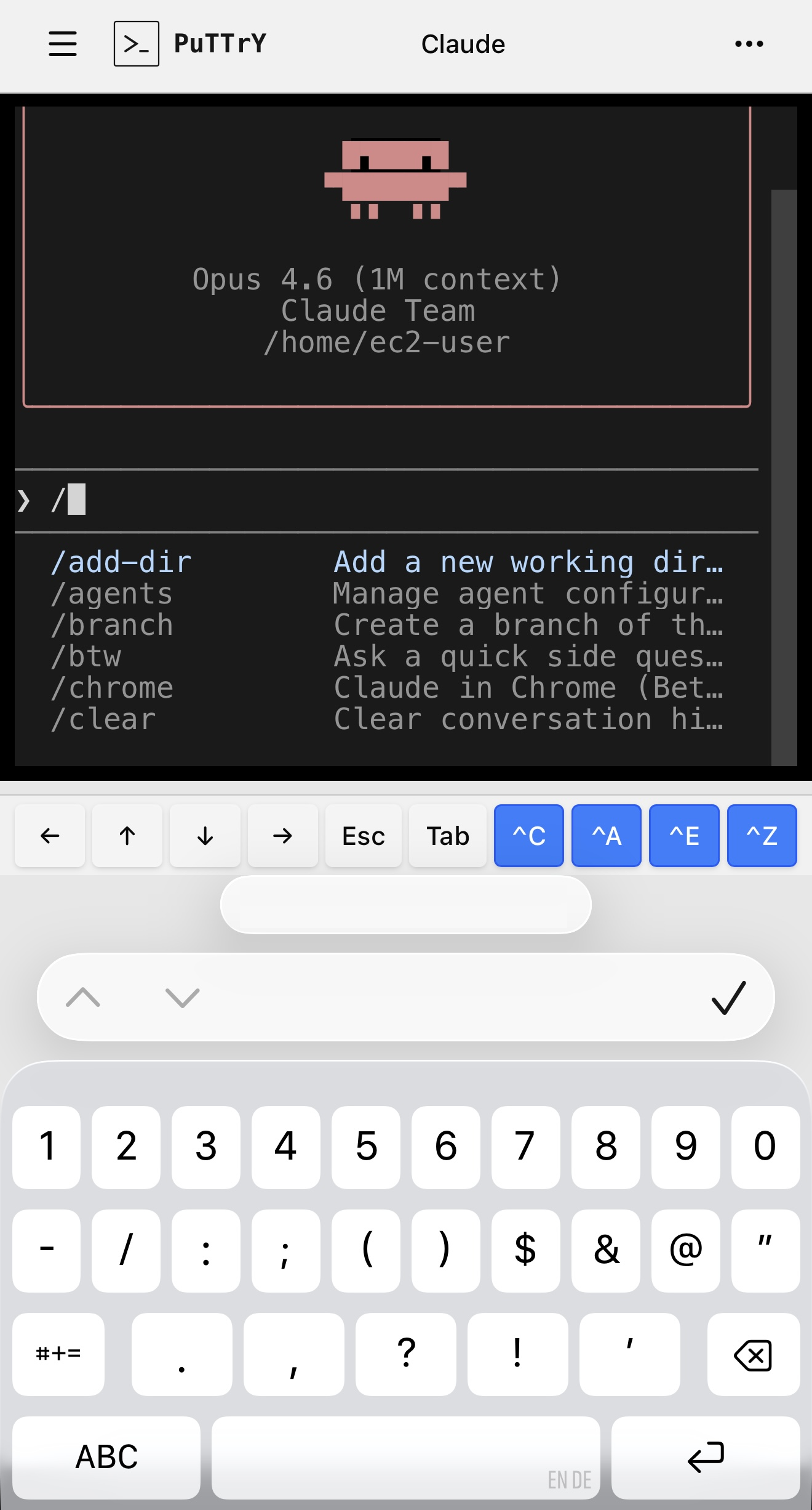 PuTTrY gallery image