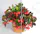 Clipping Path