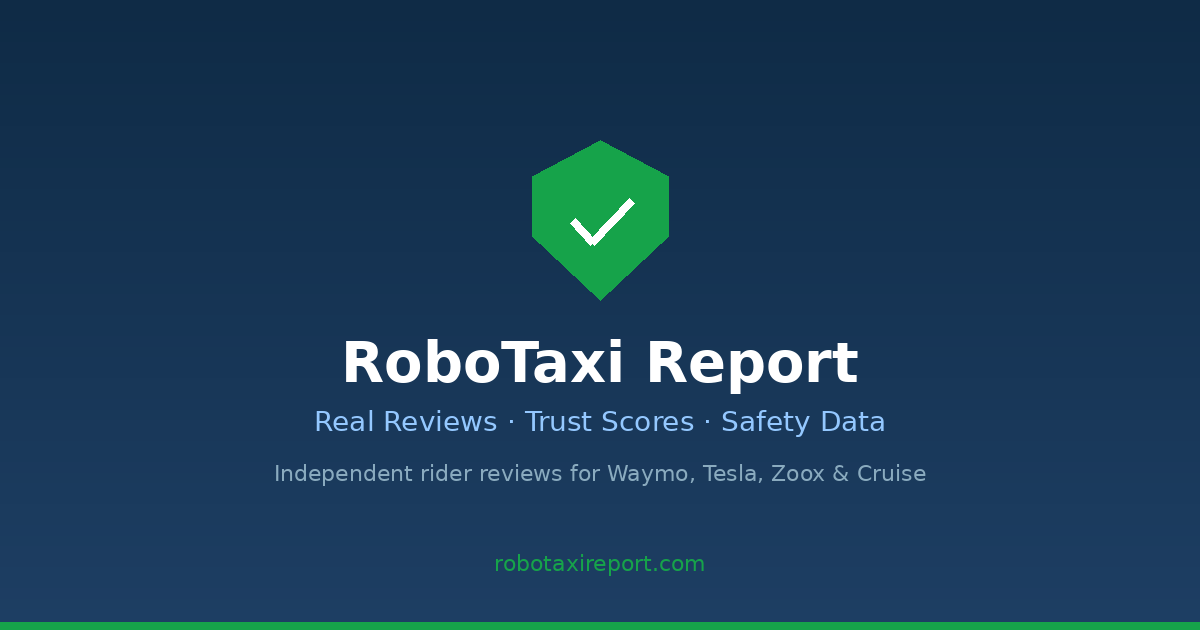 RoboTaxi Report