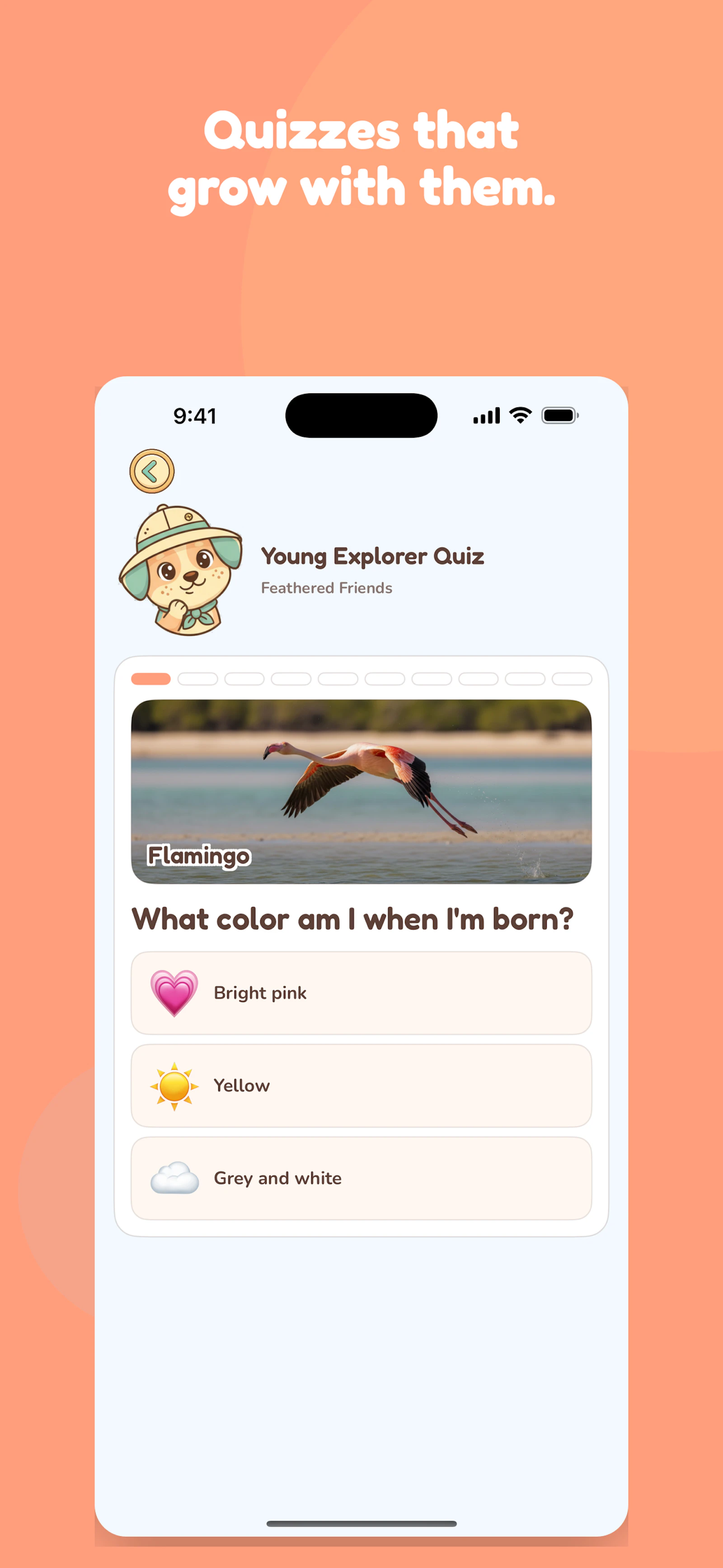 Wild Atlas: Animals for Kids screenshot 8