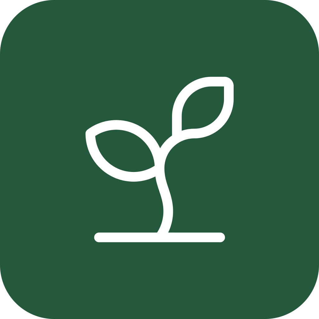 avatar of user Kai