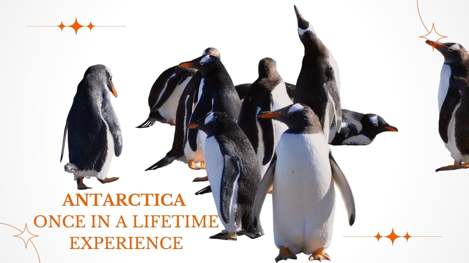 Antarctica Air Cruises 