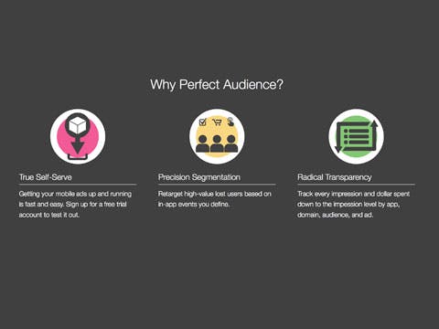 Perfect Audience media 3