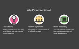 Perfect Audience media 3