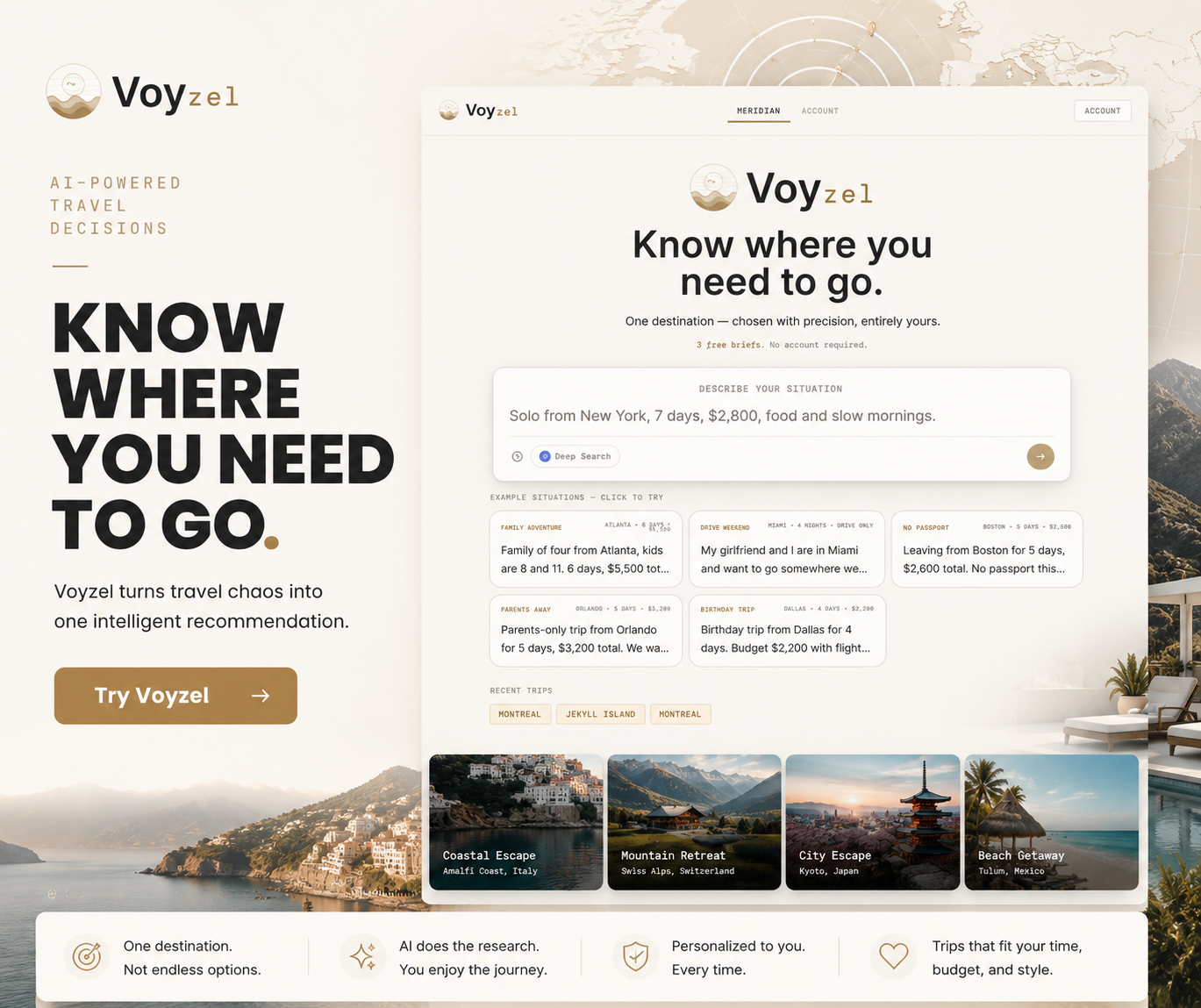 VoyZel gallery image