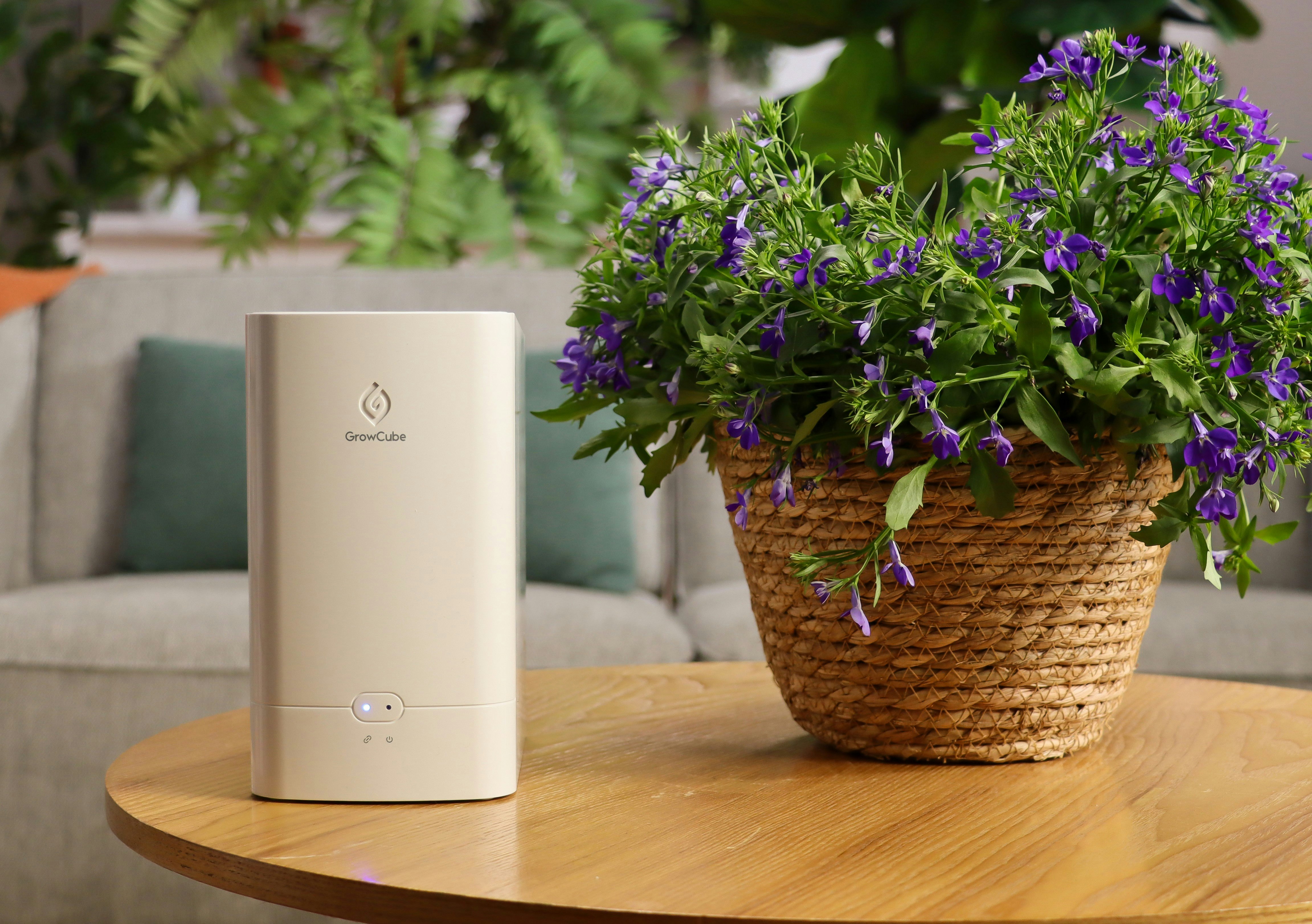 GrowCube gallery image