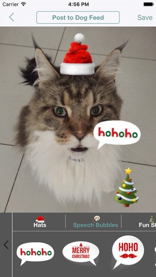 Happy Dog gallery image