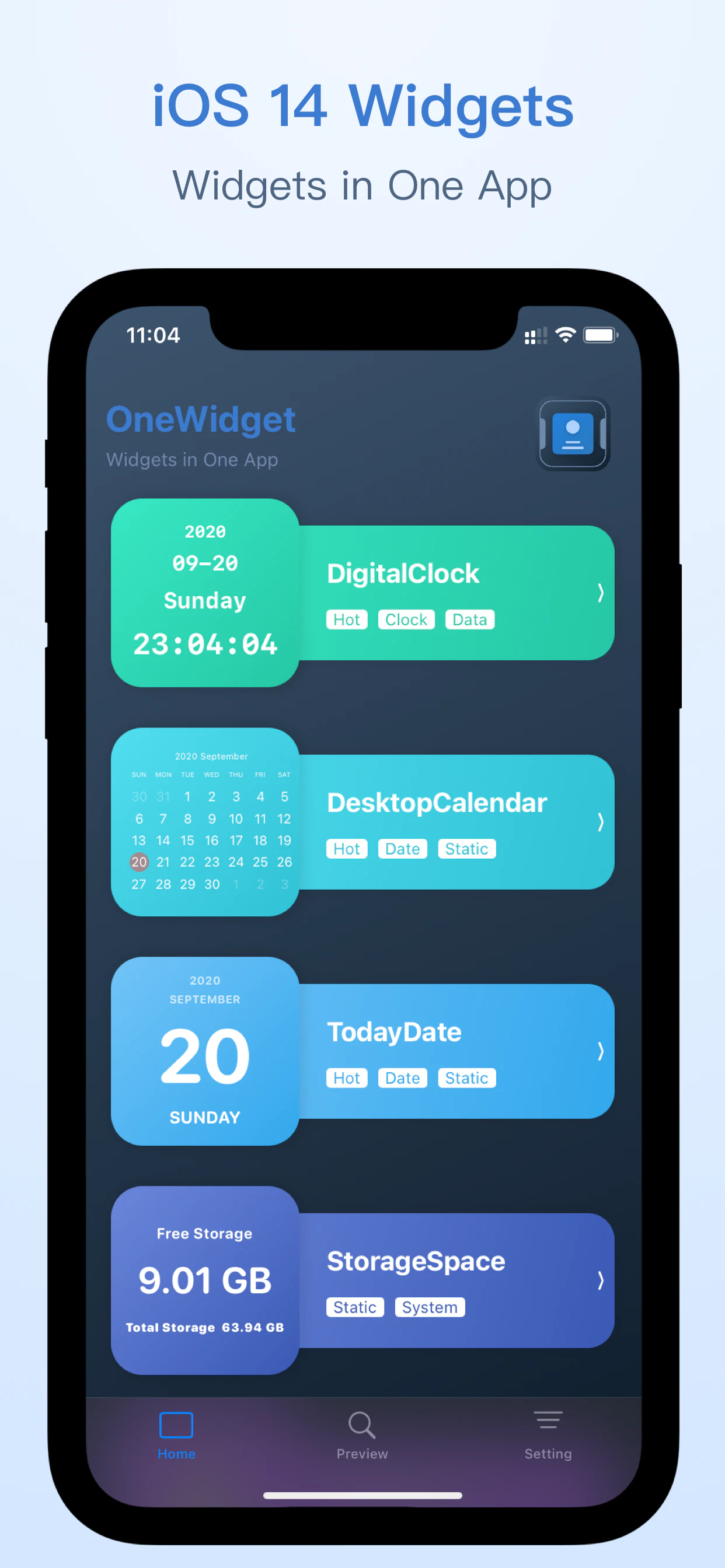 OneWidget