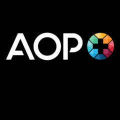 AOP y BigCommerce Impresión a pedido