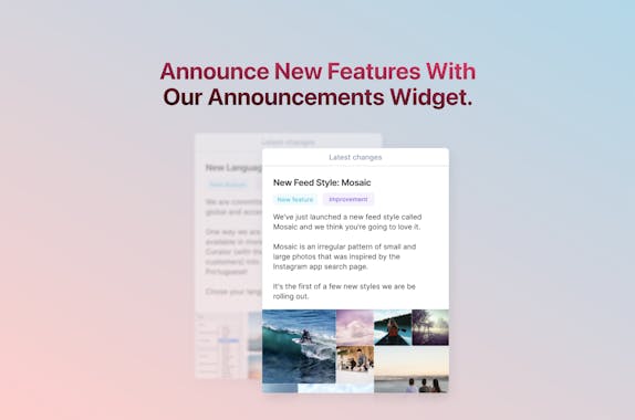 Frill Gallery Image 4