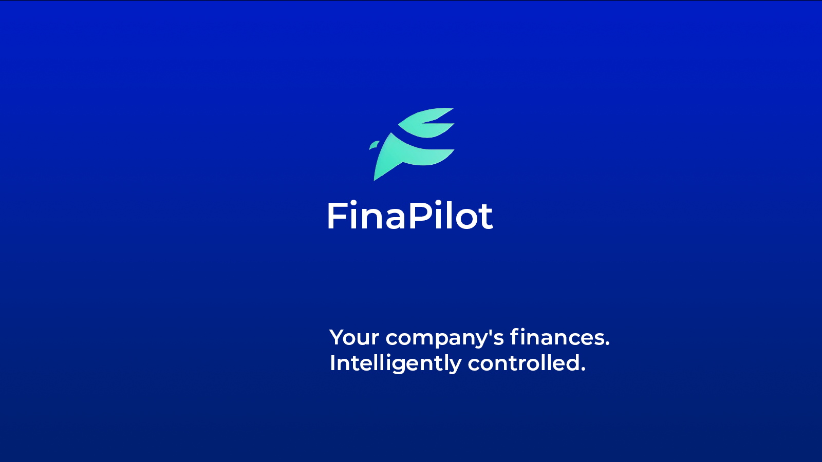 FinaPilot media 2