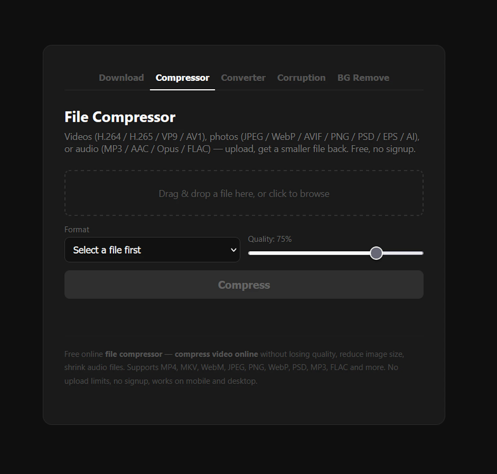 FastestDL screenshot 2