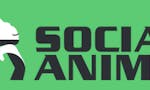 Social Animal image