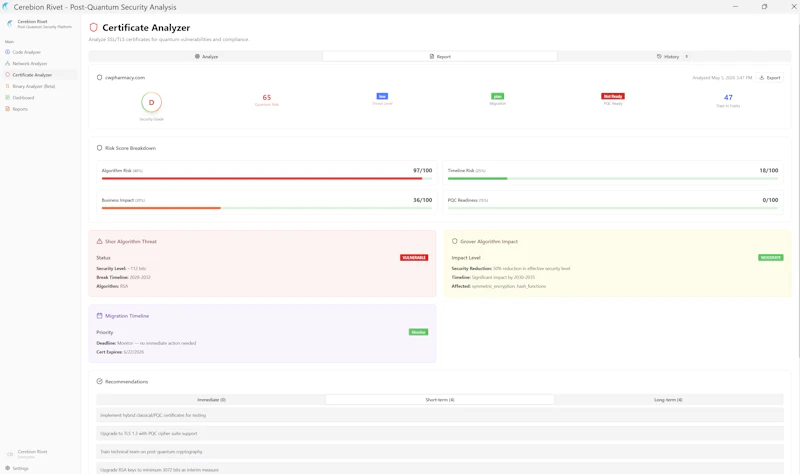 Cerebion Rivet screenshot 7