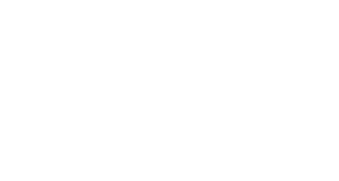 Digisoft media 1