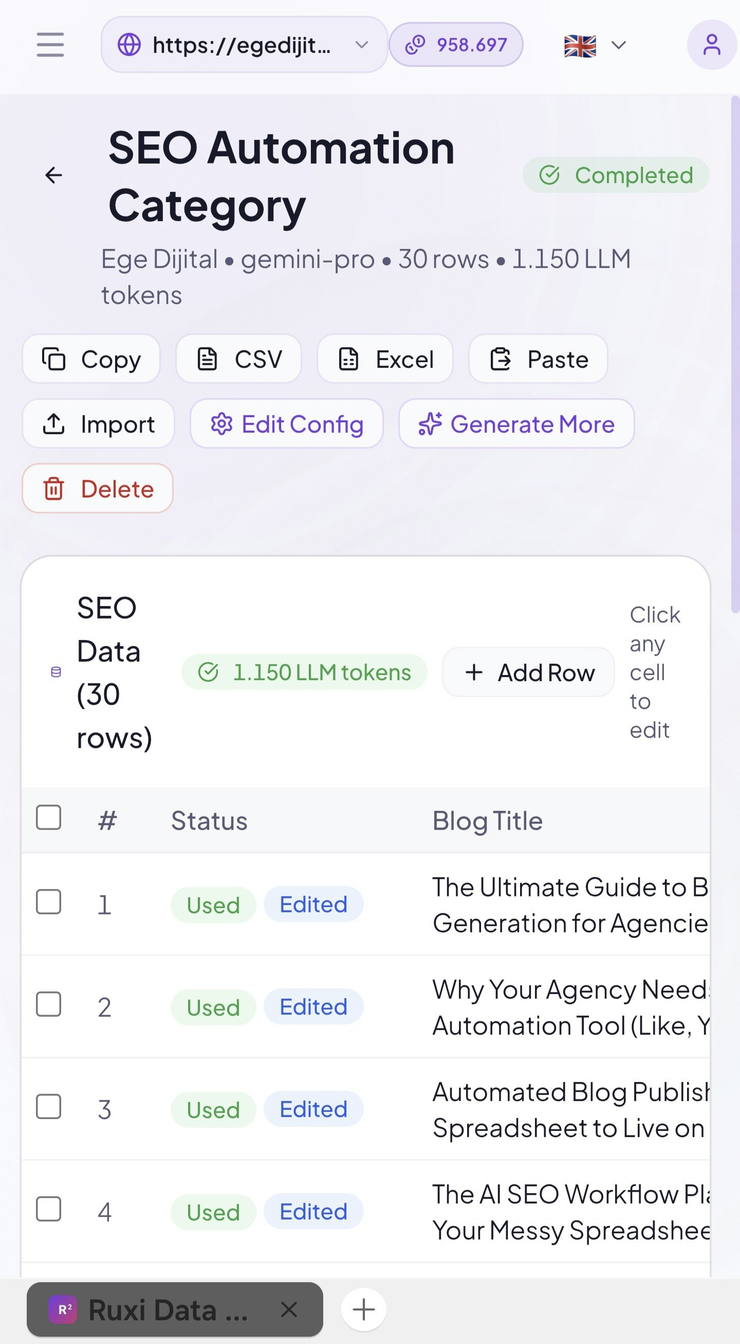 Ruxi Data - SEO Infrastructure gallery image