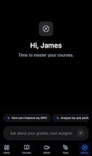 Grecko gallery image