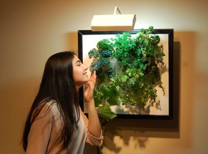 The Wall Garden gallery image