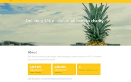 The Pineapple Fund media 3