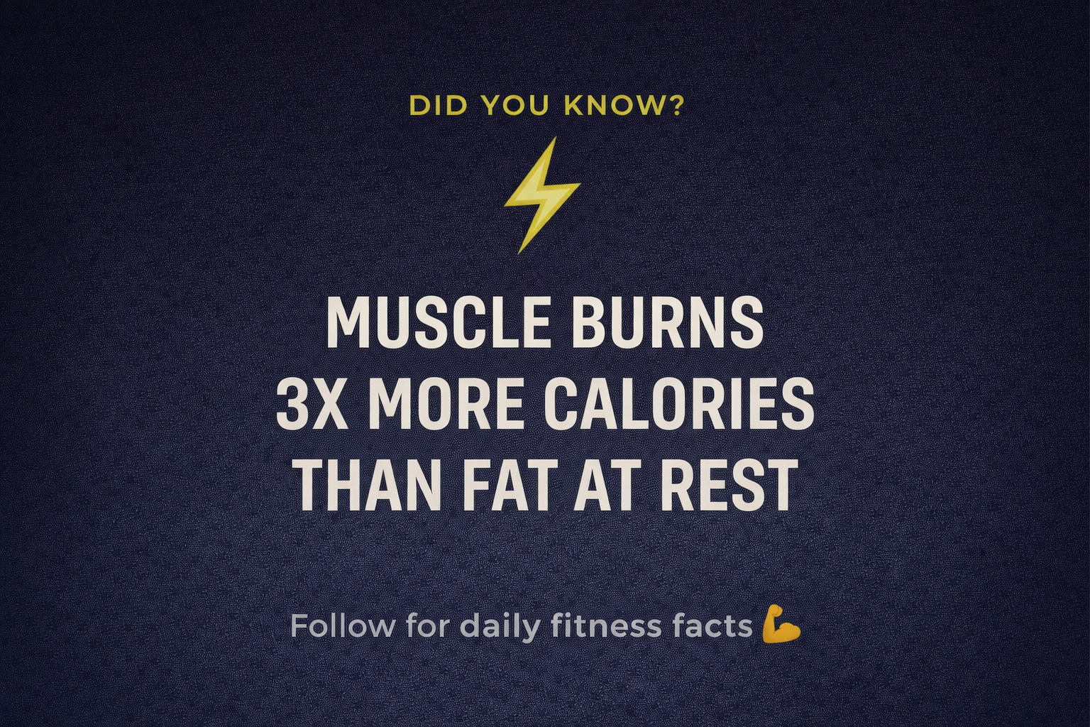 FitnessBrandKit gallery image