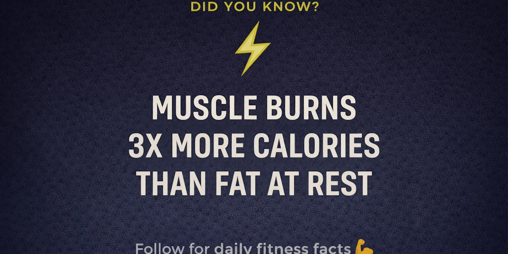 Canva AI 2.0:令人驚嘆的簡單平面設計