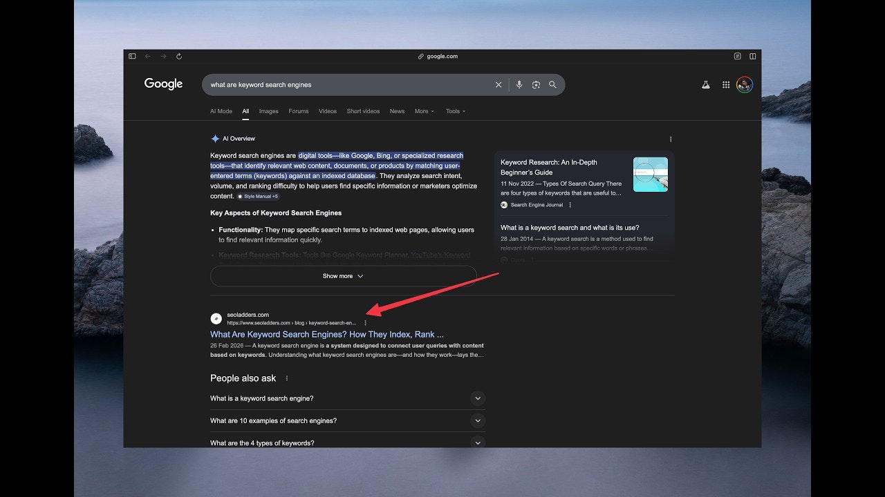SEO Ladders gallery image