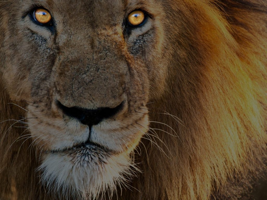 ProductHunt banner for @birmingham