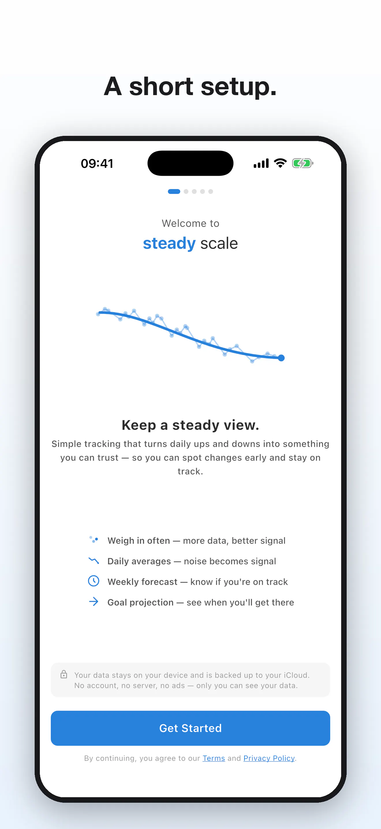 Steady Scale gallery image