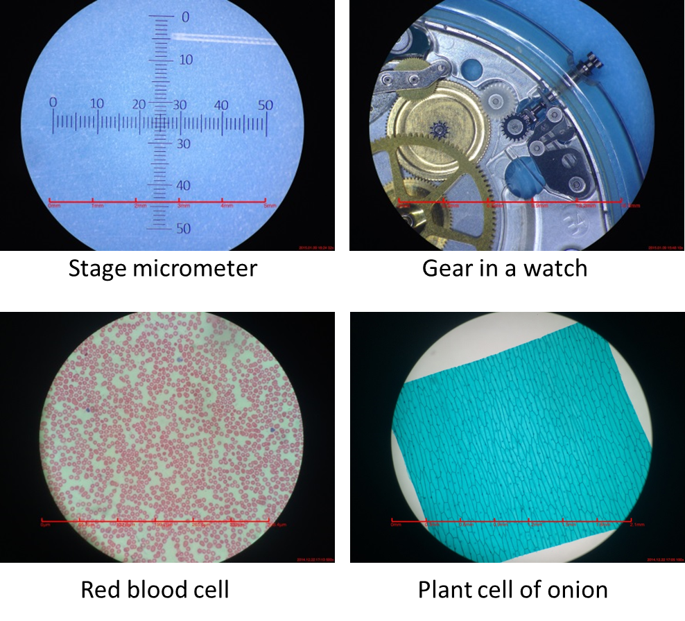 iADAPTER gallery image