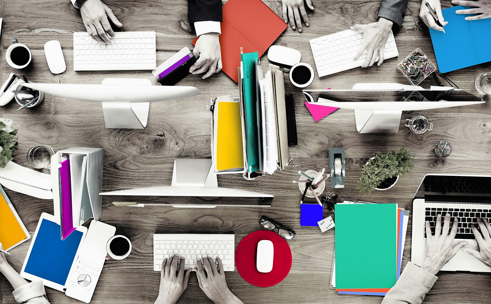 Startifi gallery image