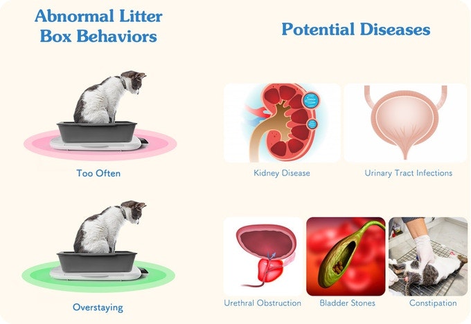 Wecare gallery image