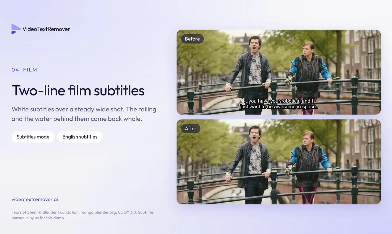 VideoTextRemover gallery image