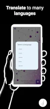 BuddyLingo gallery image