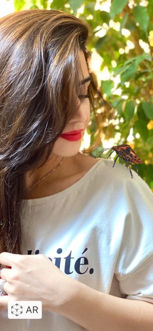 Insecta gallery image