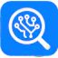 Codeur Insight