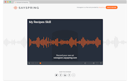 Sayspring (now part of Adobe) media 2