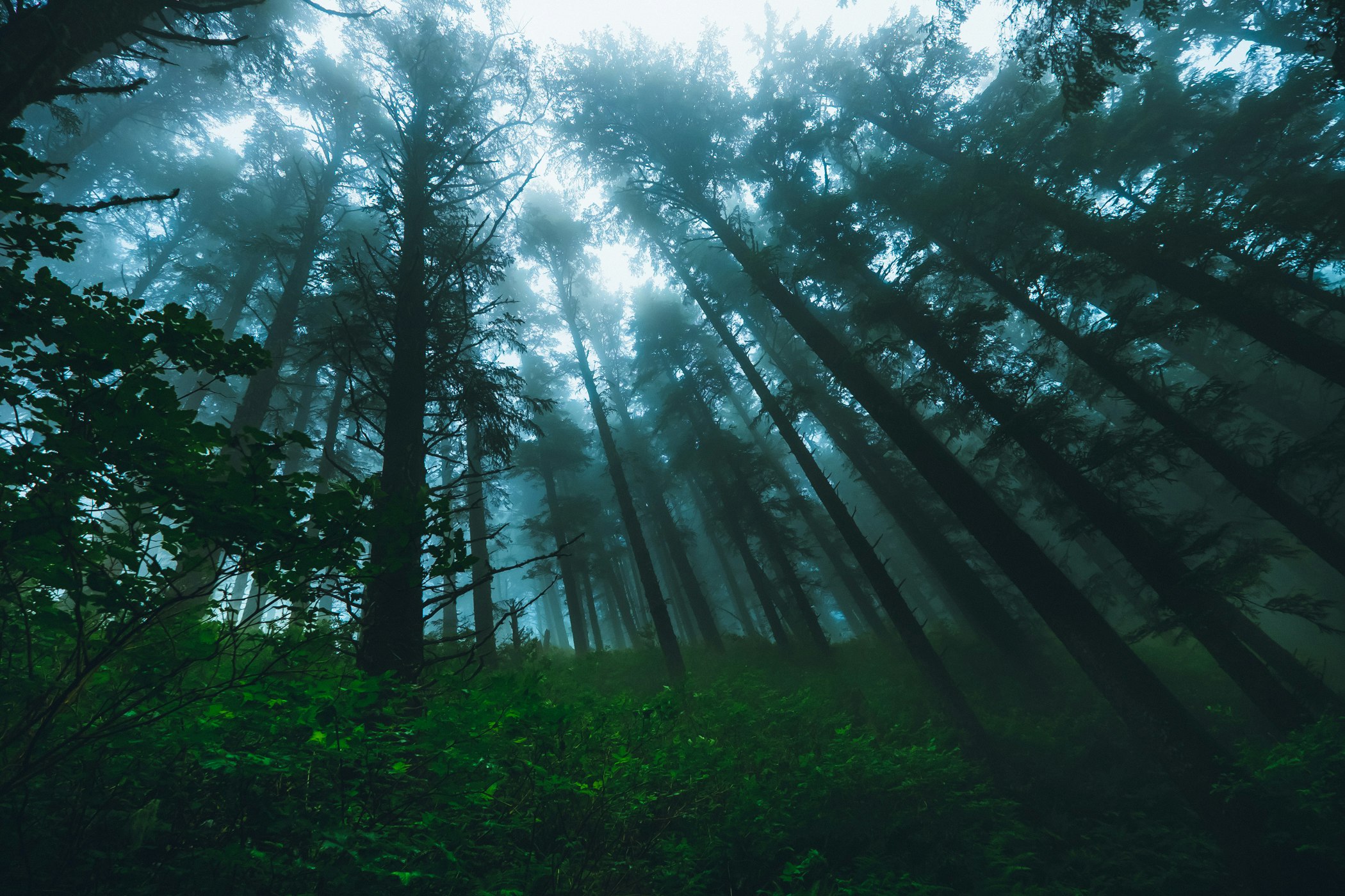 Mextures gallery image