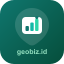 GeoBiz Analytics