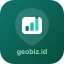 GeoBiz Analytics logo