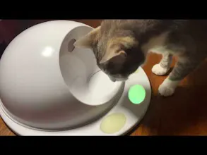 hackerpet gallery image