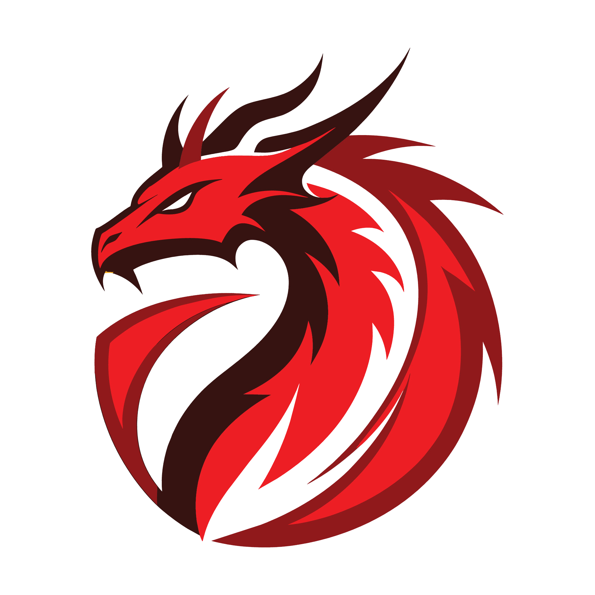 Thunder Dragon