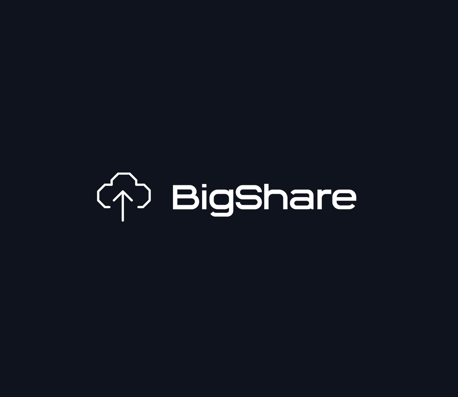 BigShare.io - Main screenshot showing features and interface