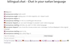bilingual.chat image