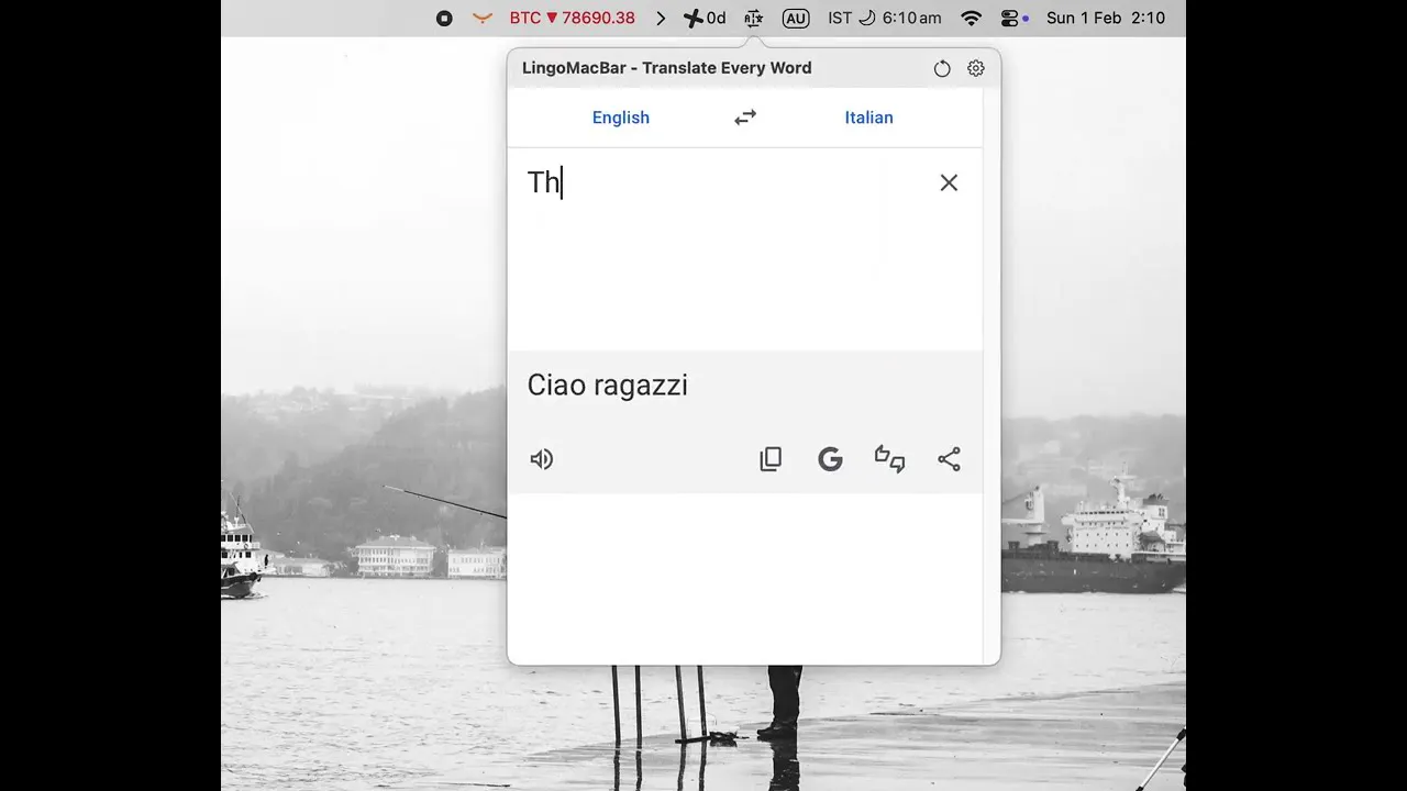 LingoMacBar: Mac Menu Bar Translator gallery image